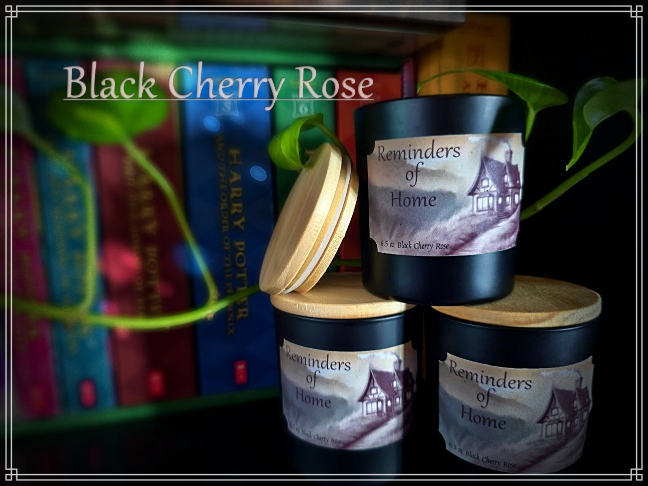 Black Cherry Rose