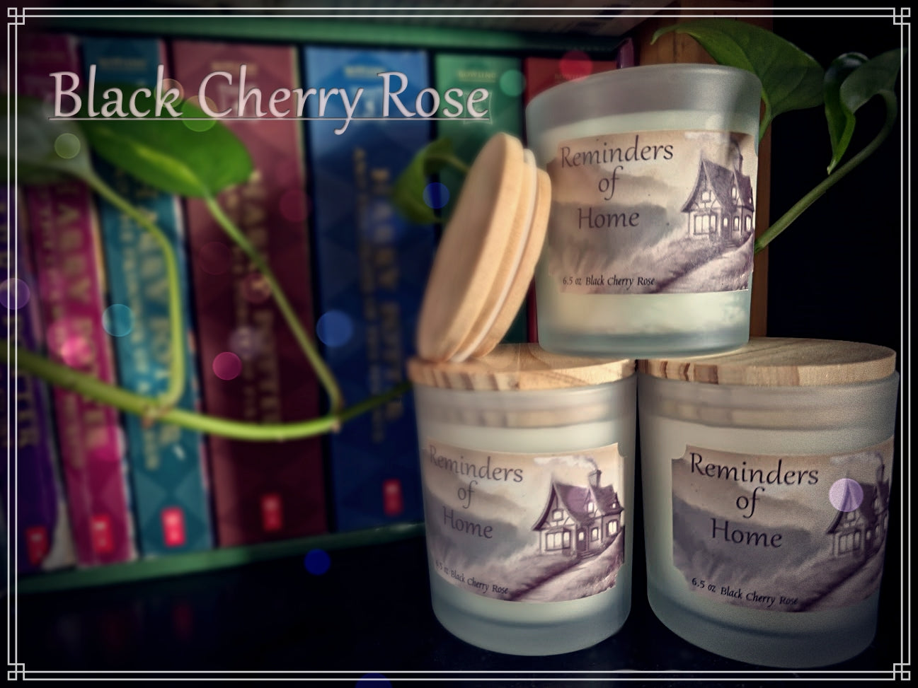Black Cherry Rose